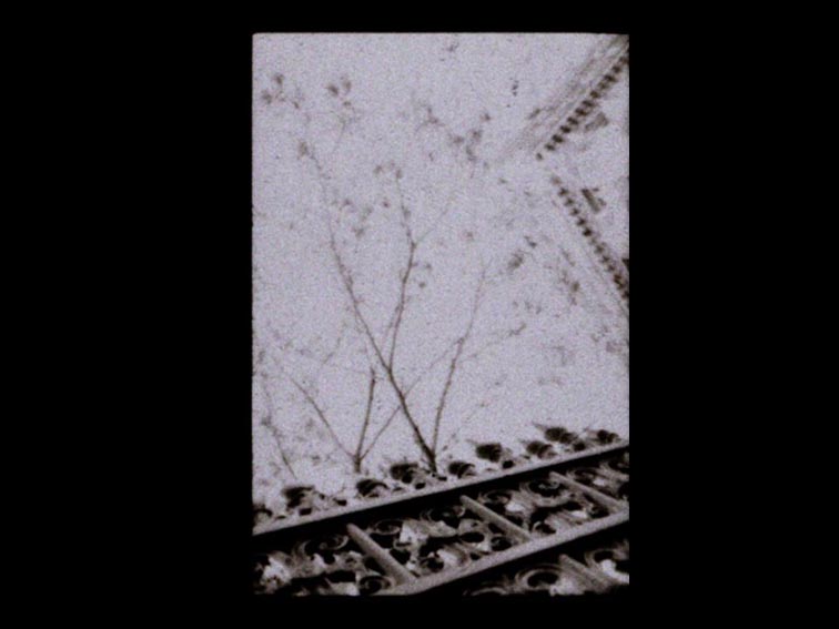 d58